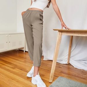 Aritzia dexter pant